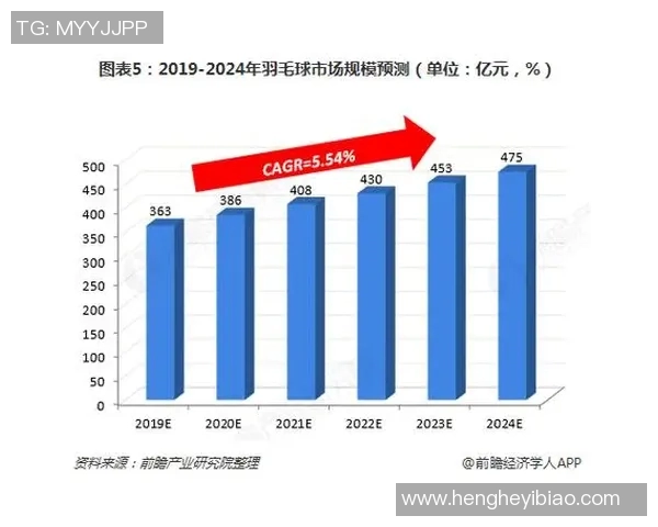 北京羽毛球队个人能力分析与发展潜力探讨
